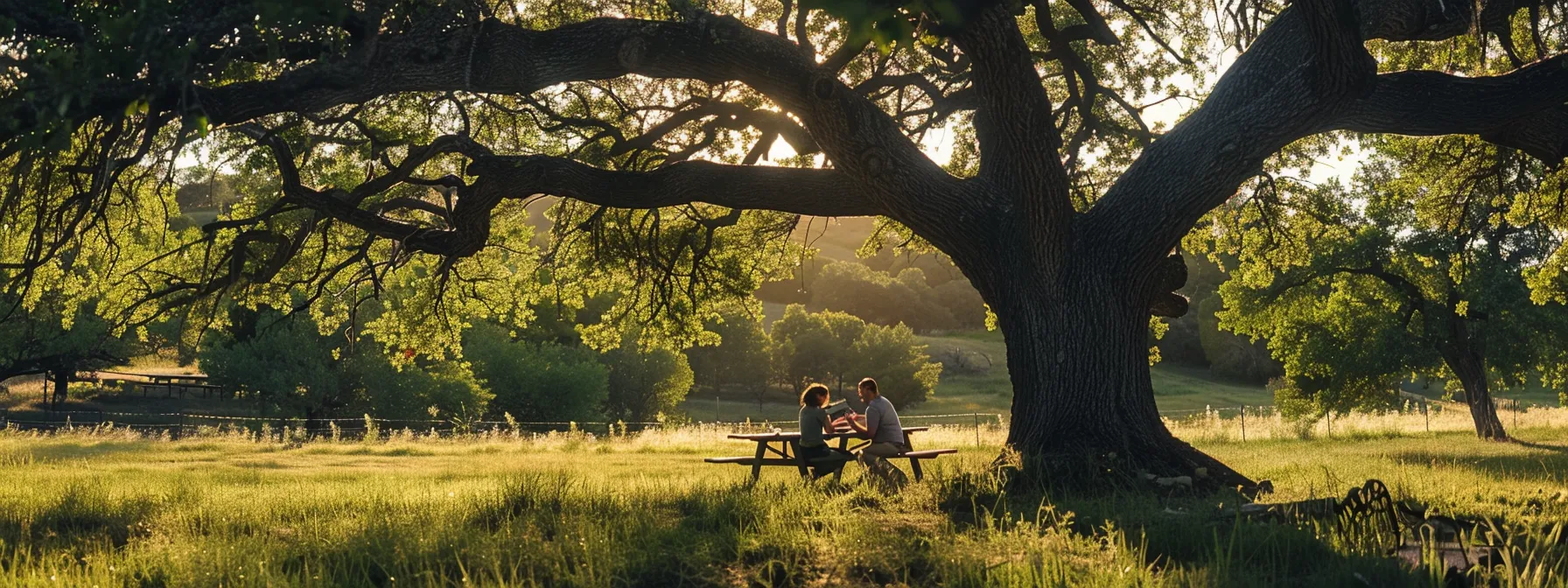 a couple signing a land contract under the shade of a large oak tree, discussing property tax responsibilities in a serene rural setting.