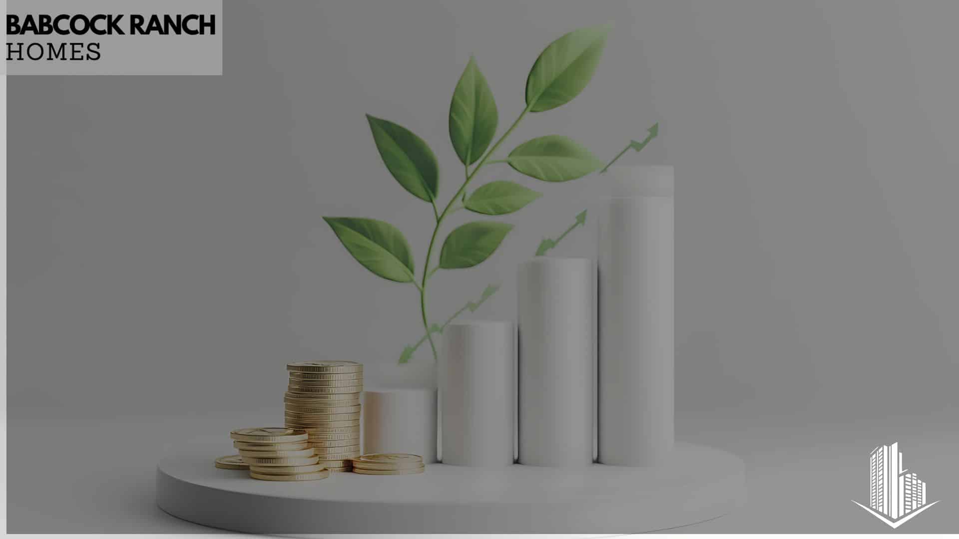 financing options and investment strategies