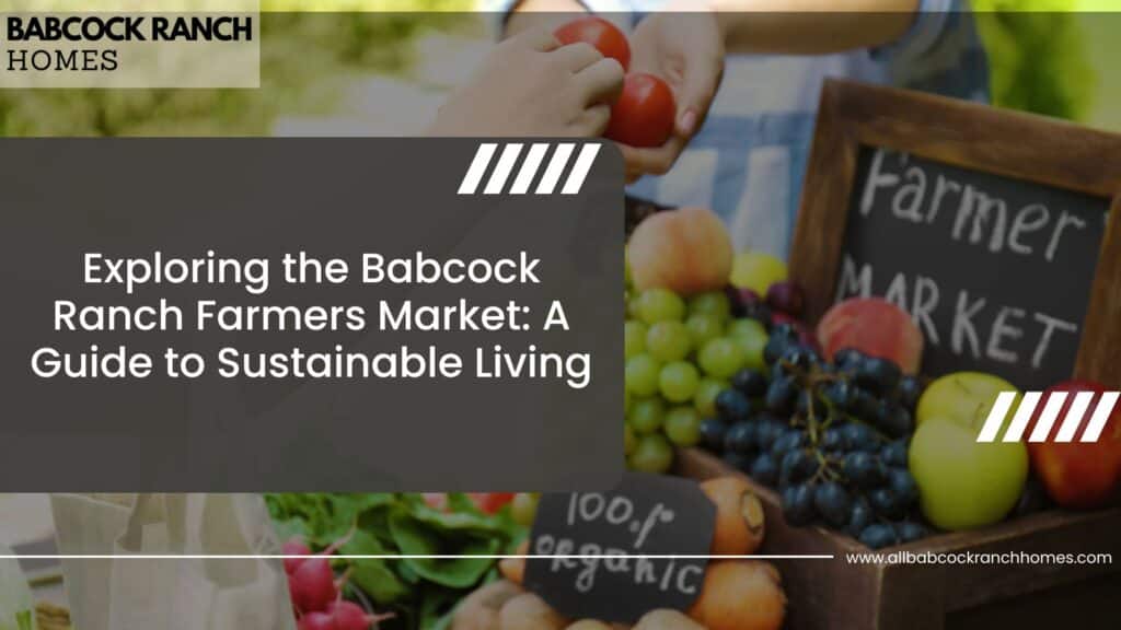 exploring the babcock ranch farmers market a guide to sustainable living