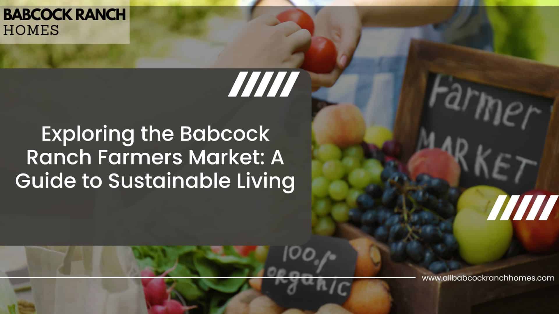exploring the babcock ranch farmers market a guide to sustainable living