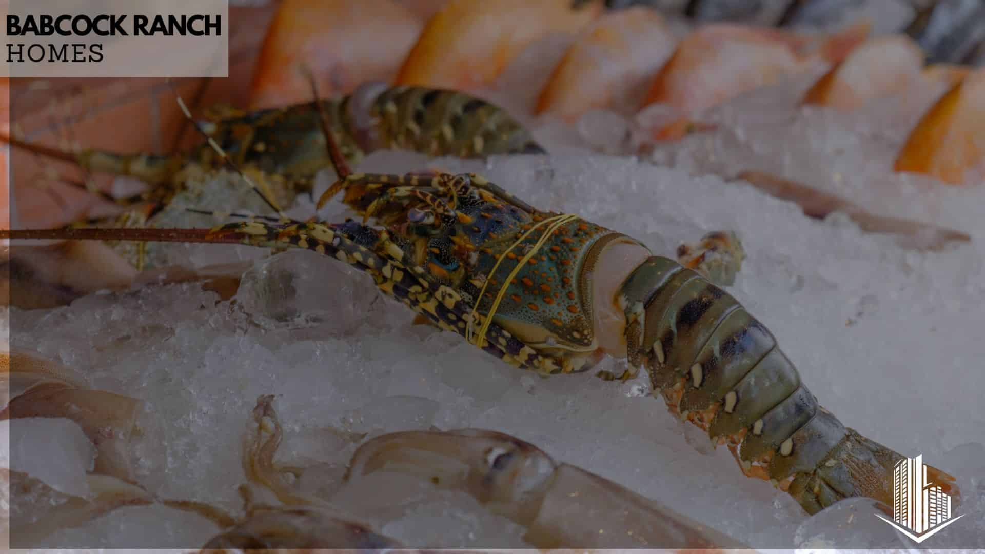 who is paragon festivals and how did they come to babcock ranch